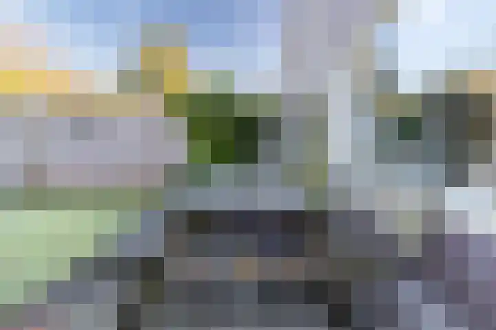 Chalonhof 14 Soest thumbnail 17
