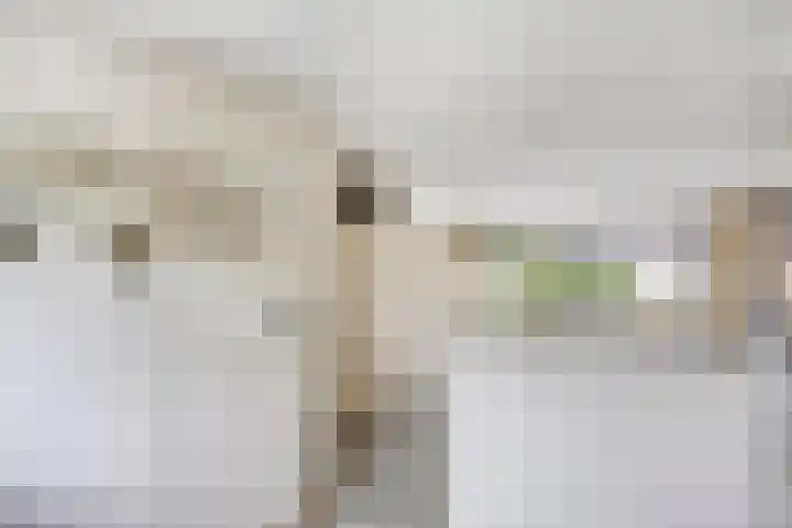 Chalonhof 5 Eindhoven thumbnail 10
