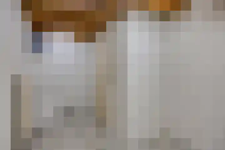 Chalonhof 5 Eindhoven thumbnail 12
