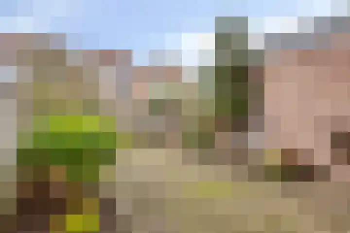 Chalonhof 5 Eindhoven thumbnail 21