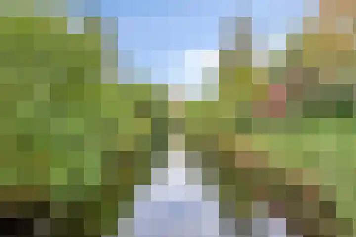 Chalonhof 5 Eindhoven thumbnail 26