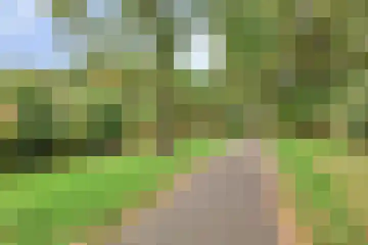 Chalonhof 5 Eindhoven thumbnail 27