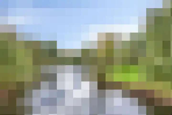 Chalonhof 5 Eindhoven thumbnail 28