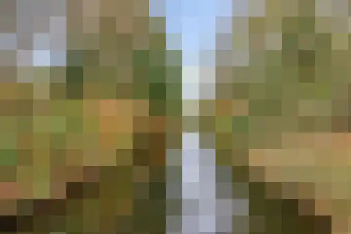 Chalonhof 5 Eindhoven thumbnail 29