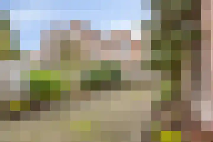Chalonhof 5 Eindhoven thumbnail 4