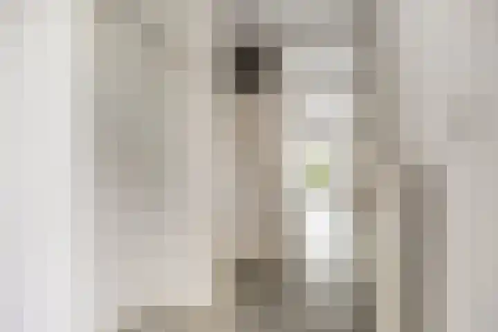Chalonhof 5 Eindhoven thumbnail 5