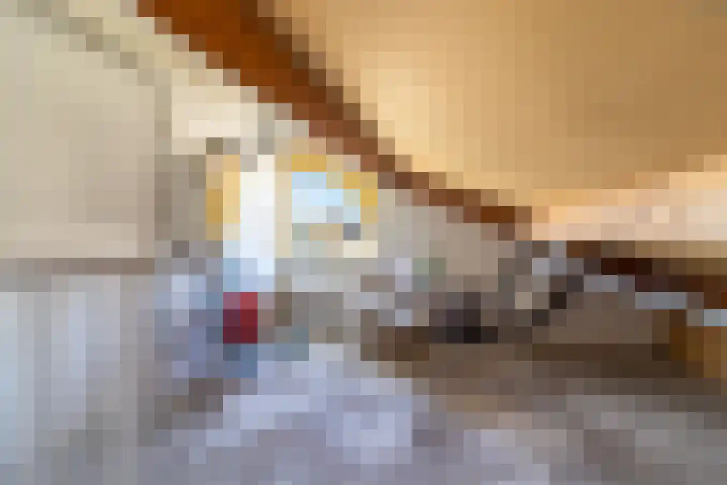 Chalonhof 53 Soest thumbnail 18