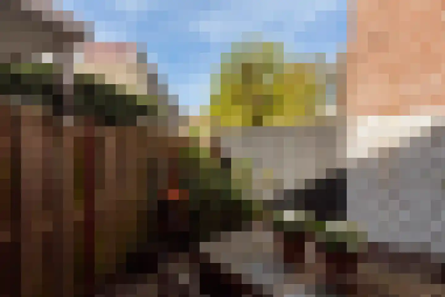Châlonsstraat 1 Rotterdam thumbnail 19