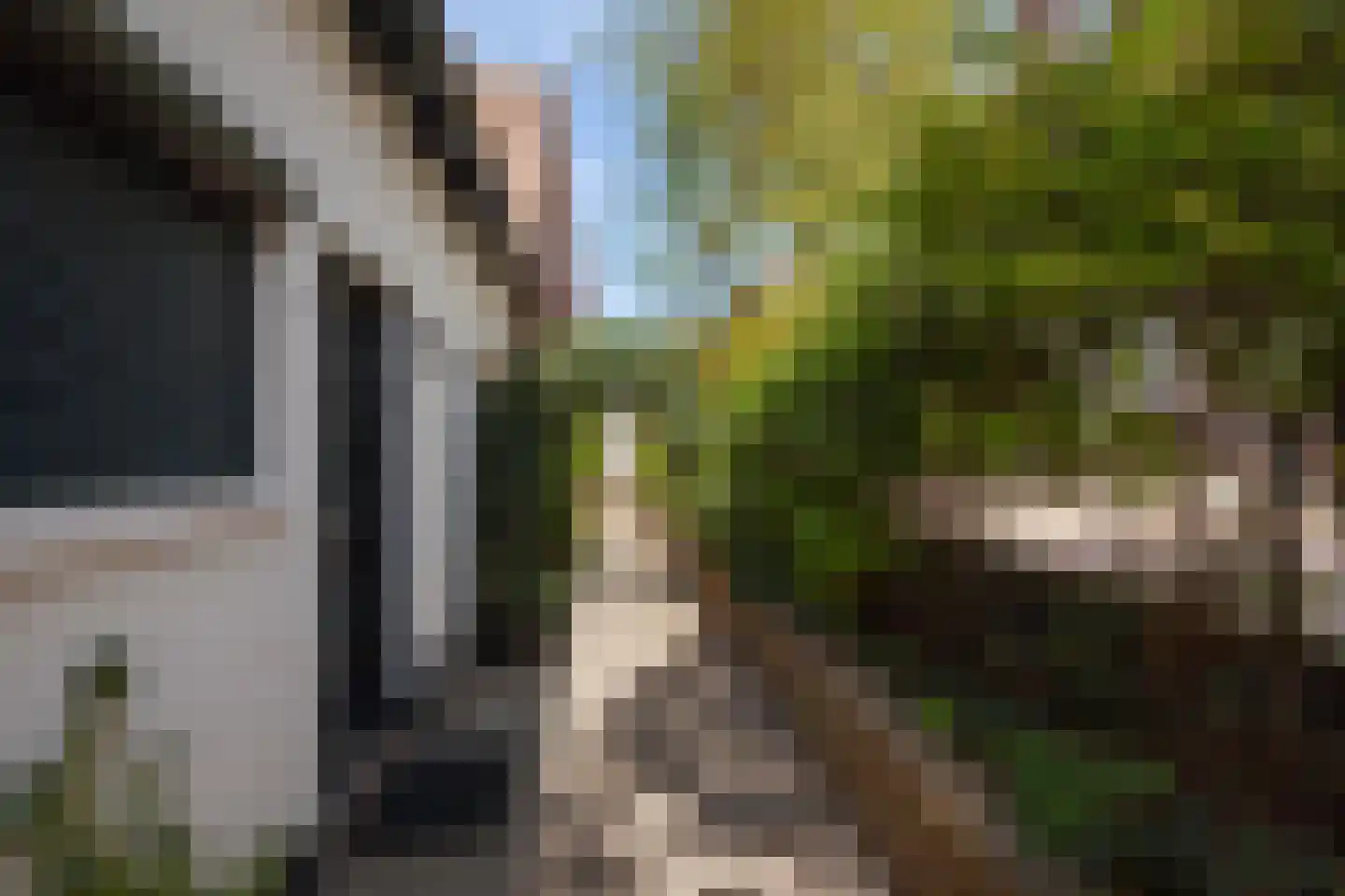 Châlonsstraat 1 Rotterdam thumbnail 22