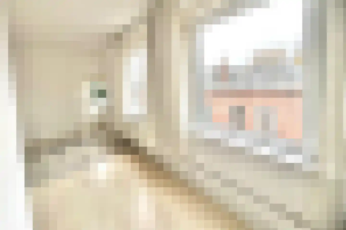 Châlonsstraat 6 B Rotterdam thumbnail 22
