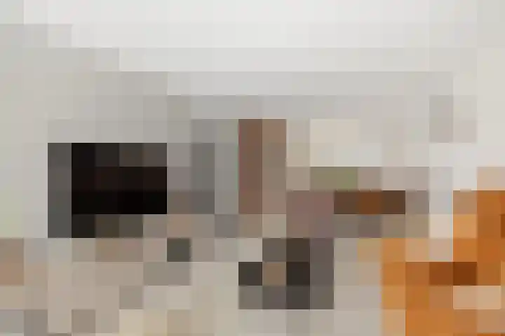 Chamavenlaan 12 Apeldoorn thumbnail 10