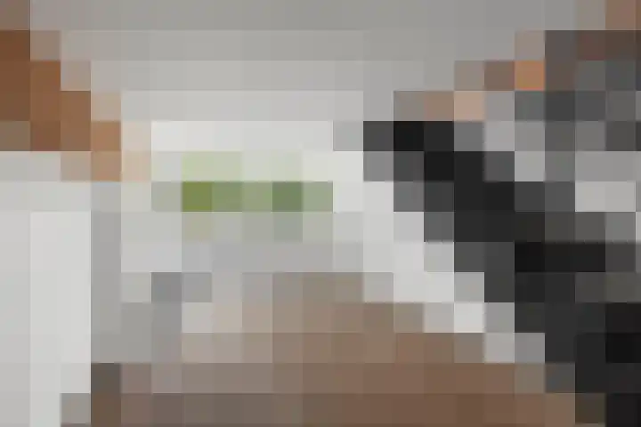 Chamavenlaan 12 Apeldoorn thumbnail 24