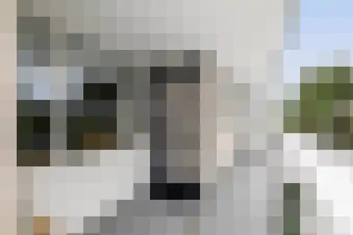 Chamavenlaan 12 Apeldoorn thumbnail 4