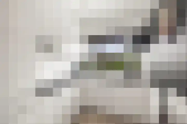 Chamavenlaan 12 Apeldoorn thumbnail 6