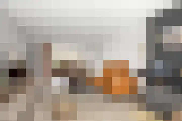 Chamavenlaan 12 Apeldoorn thumbnail 9