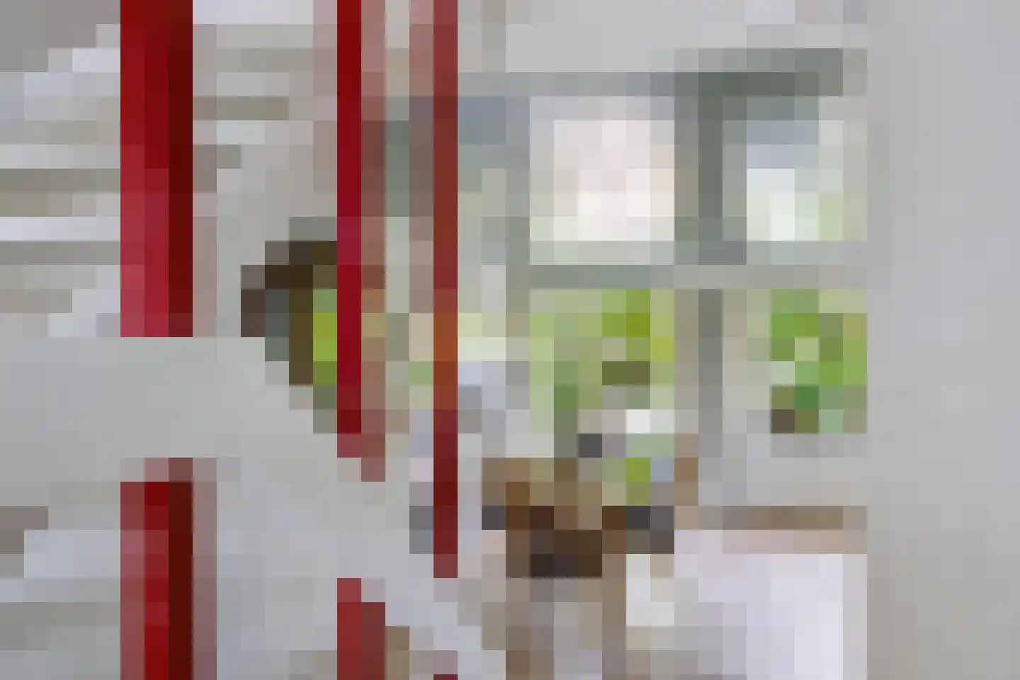 Chamavenlaan 13 Apeldoorn thumbnail 11