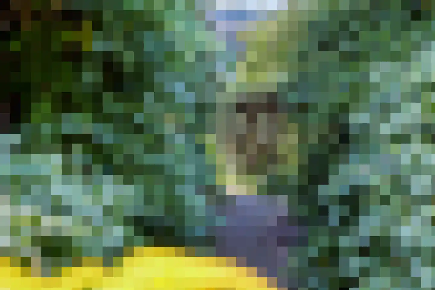 Chamavenlaan 13 Apeldoorn thumbnail 17