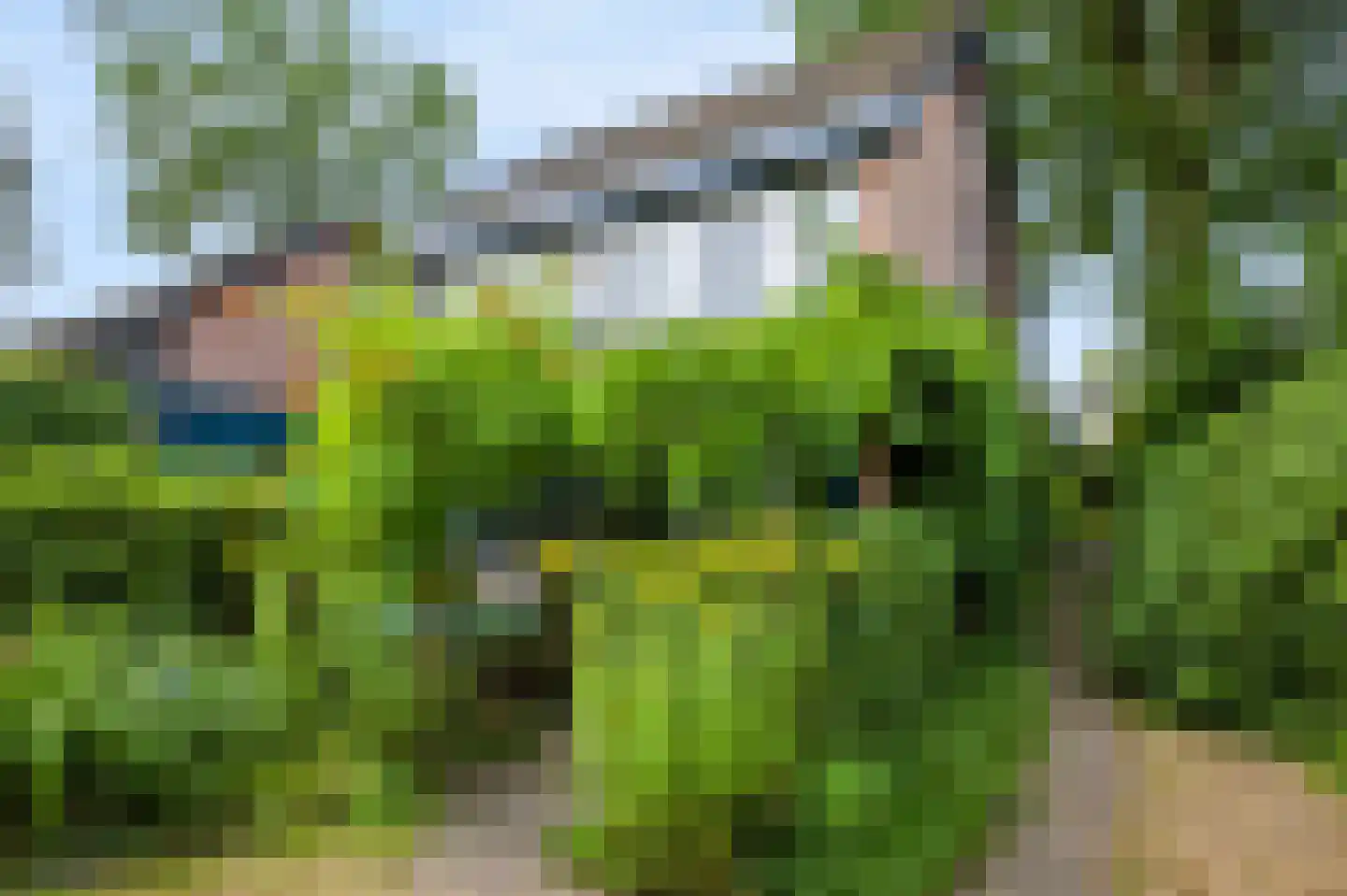 Chamavenlaan 13 Apeldoorn thumbnail 49