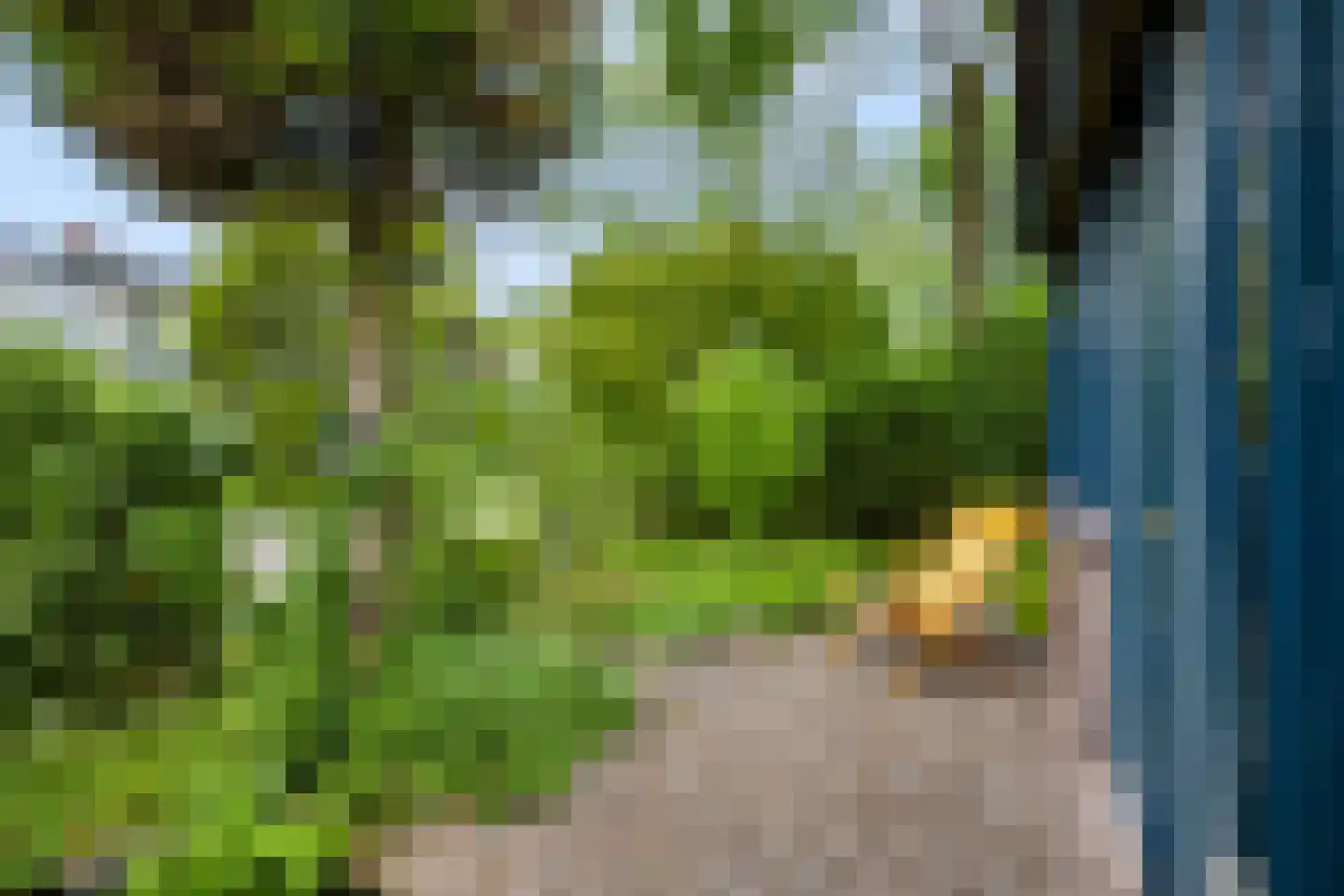 Chamavenlaan 13 Apeldoorn thumbnail 53