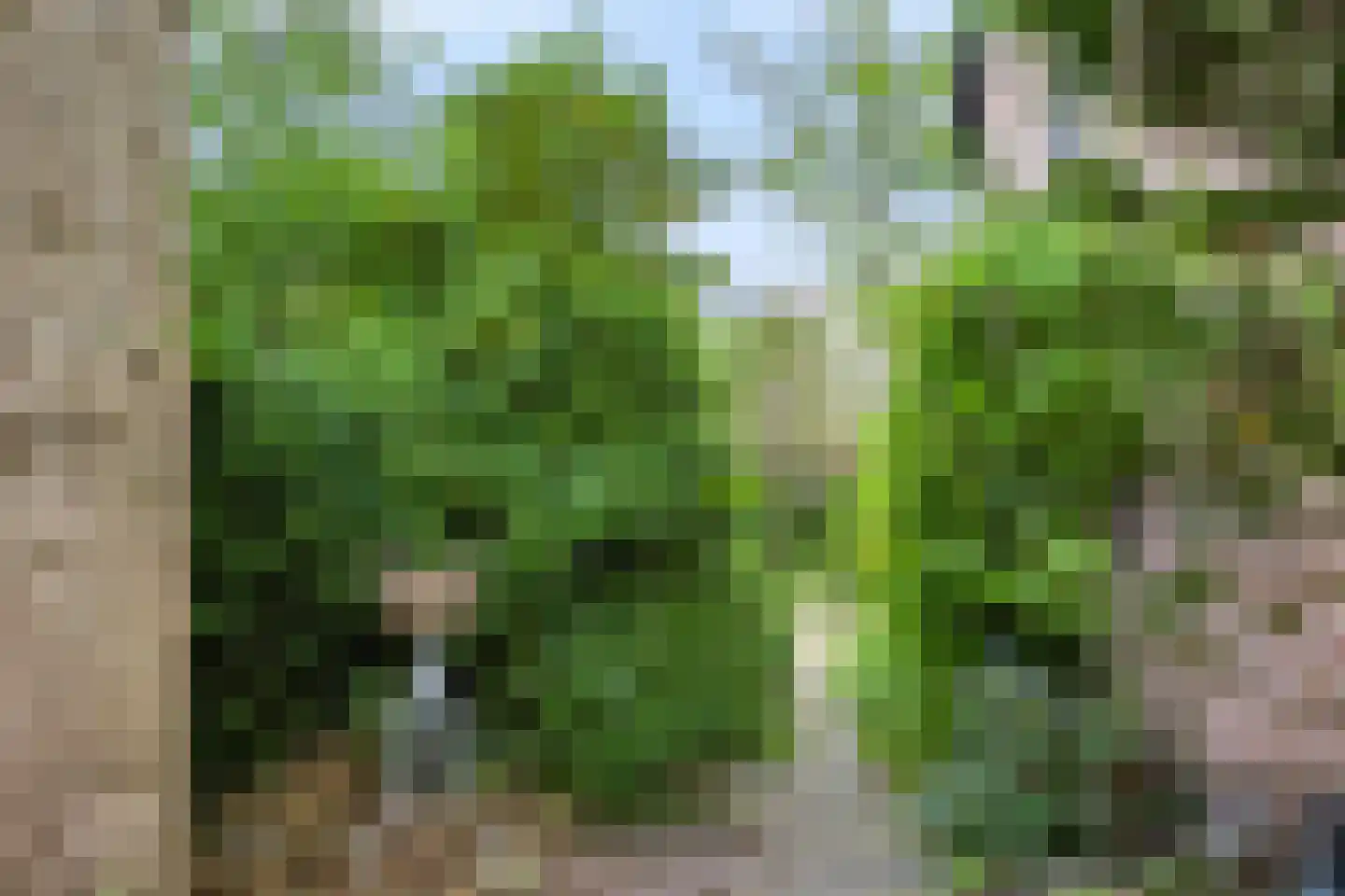 Chamavenlaan 13 Apeldoorn thumbnail 54