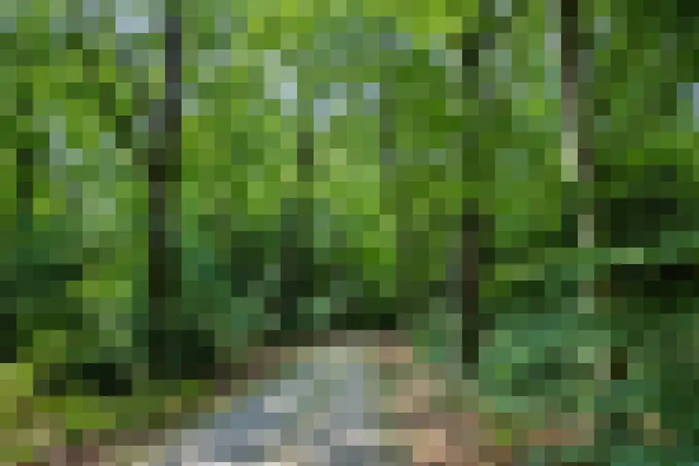 Chamavenlaan 13 Apeldoorn thumbnail 57