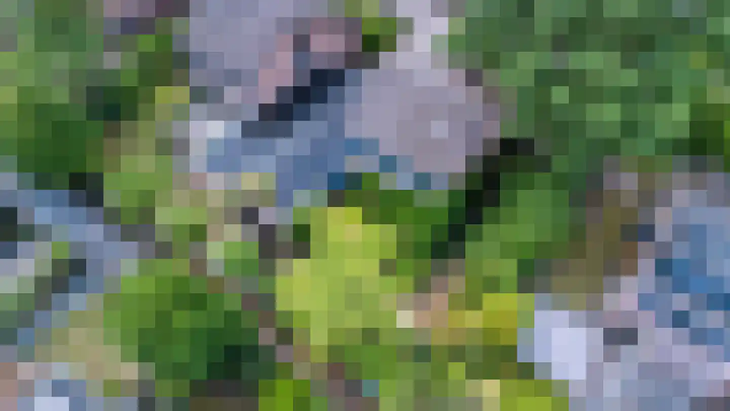 Chamavenlaan 13 Apeldoorn thumbnail 59