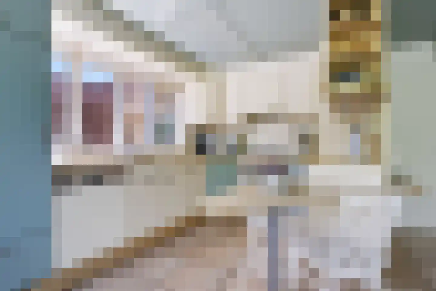 Chamavenlaan 13 Apeldoorn thumbnail 7