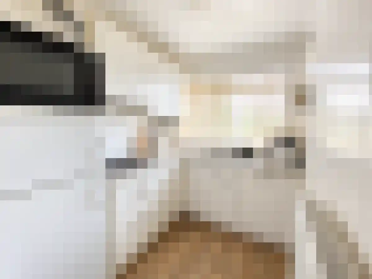 Chamavenlaan 20 Apeldoorn thumbnail 4