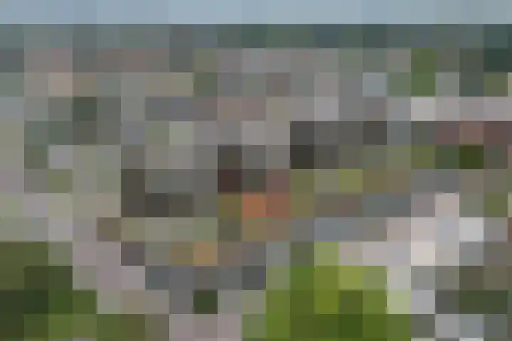 Chamavenlaan 204 dans Apeldoorn