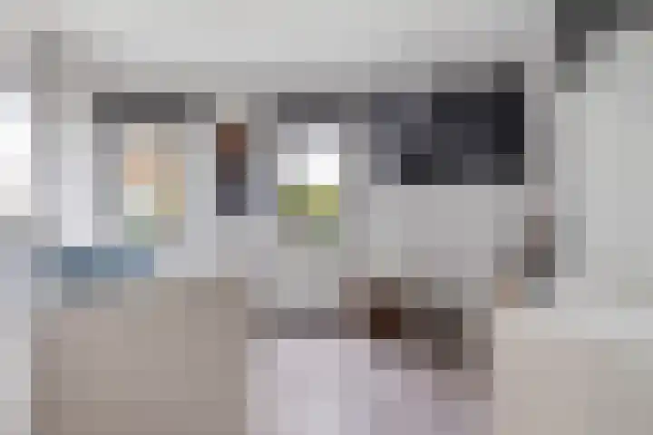 Chamavenlaan 204 Apeldoorn thumbnail 13