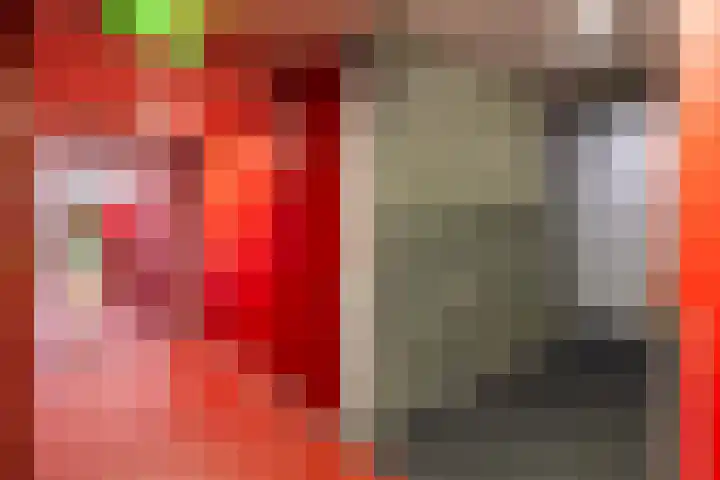Chamavenlaan 204 Apeldoorn thumbnail 23