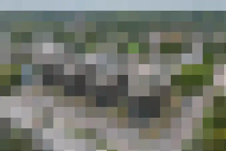Chamavenlaan 204 Apeldoorn thumbnail 29