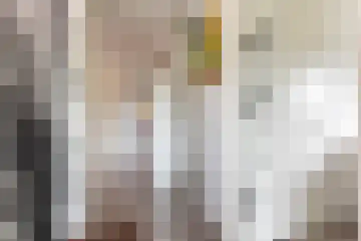 Chamavenlaan 204 Apeldoorn thumbnail 8