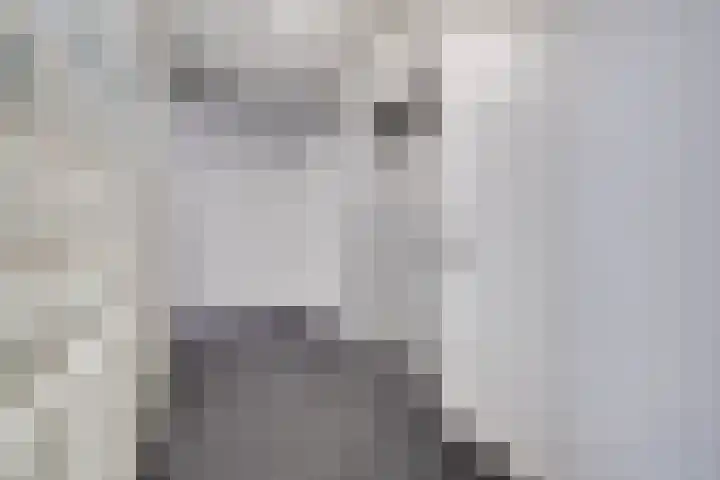 Chamavenlaan 206 Apeldoorn thumbnail 22