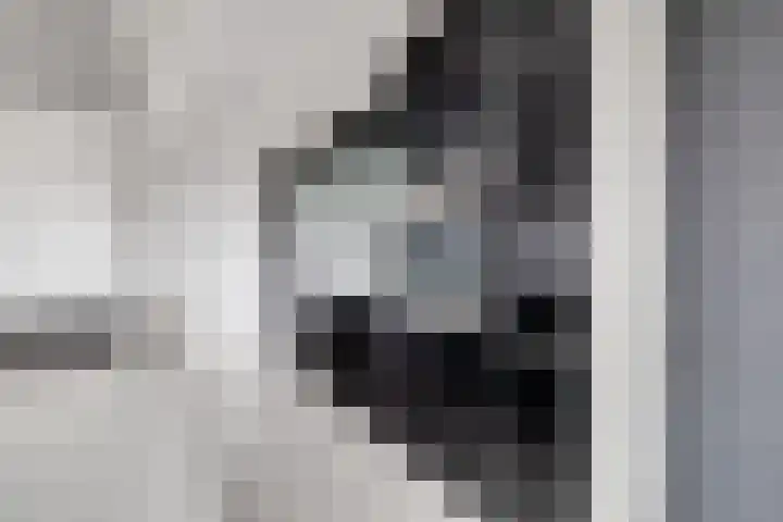 Chamavenlaan 206 Apeldoorn thumbnail 7