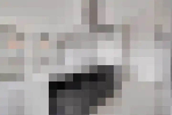 Chamavenlaan 206 Apeldoorn thumbnail 9