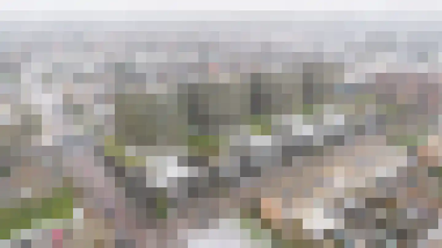 Chamavenlaan 226 Apeldoorn thumbnail 26