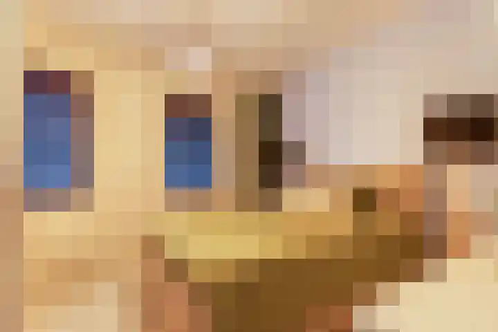 Chamavenlaan 244 Apeldoorn thumbnail 13