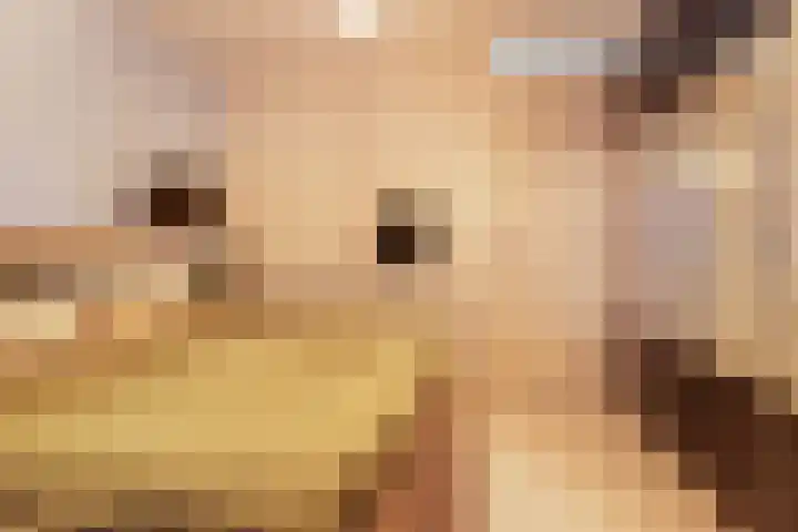 Chamavenlaan 244 Apeldoorn thumbnail 14