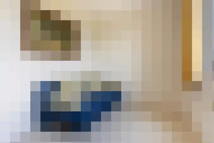 Chamavenlaan 248 Apeldoorn thumbnail 11
