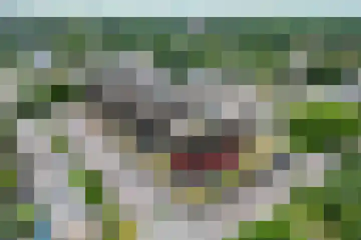 Chamavenlaan 248 Apeldoorn thumbnail 33