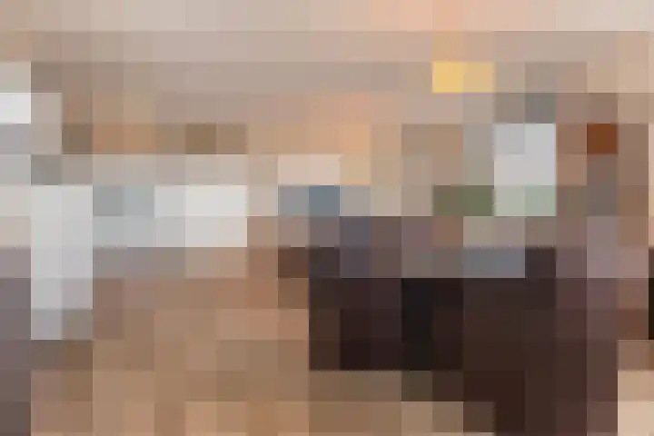 Chamavenlaan 248 Apeldoorn thumbnail 7