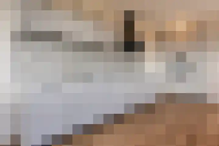 Chamavenlaan 248 Apeldoorn thumbnail 8