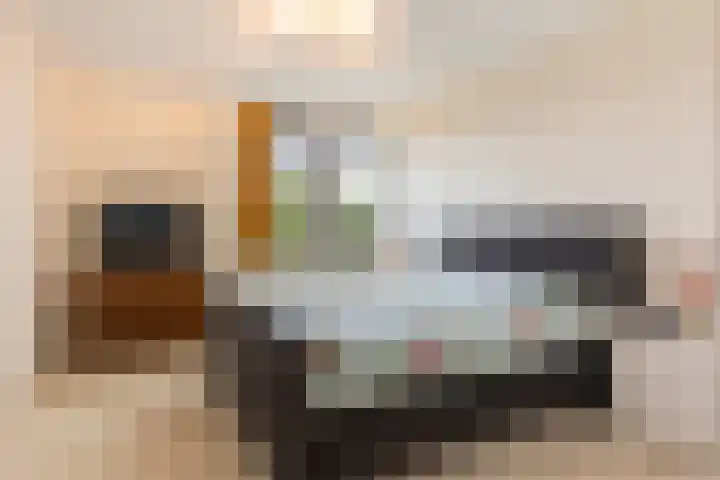 Chamavenlaan 248 Apeldoorn thumbnail 9