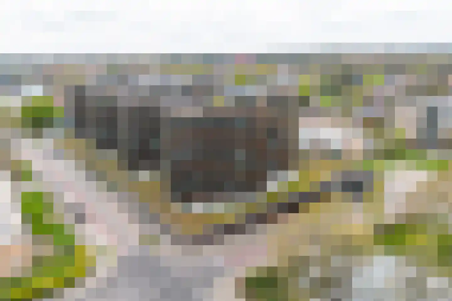 Chamavenlaan 250 Apeldoorn thumbnail 29
