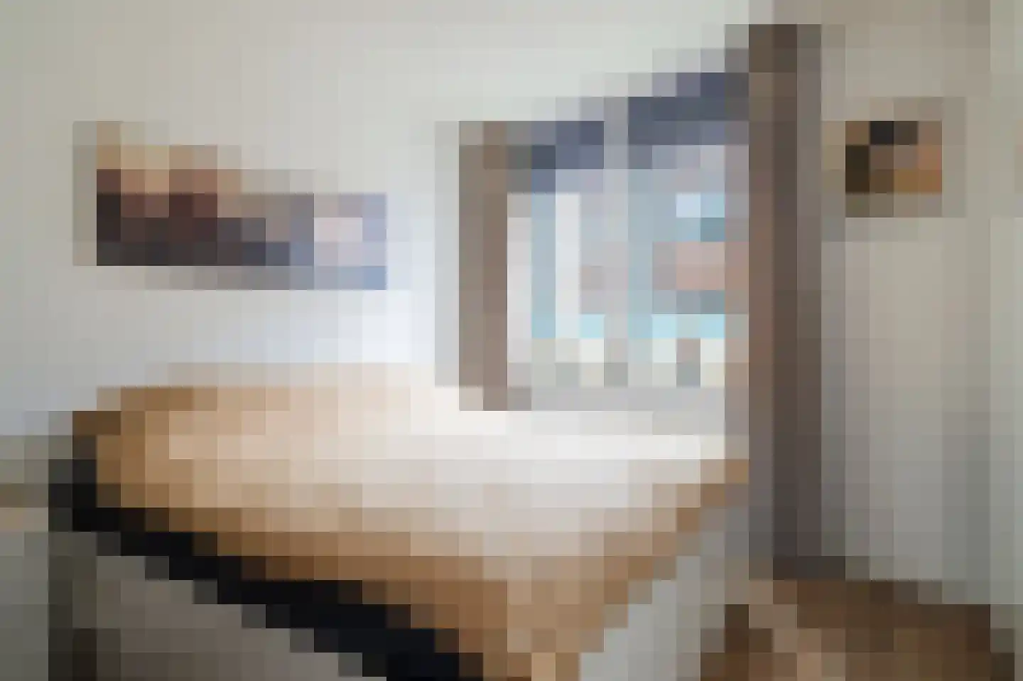 Chamavenlaan 258 Apeldoorn thumbnail 12