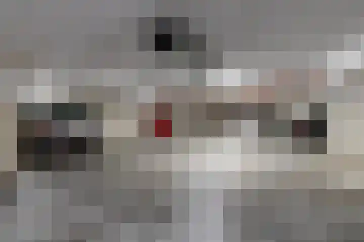 Chamavenlaan 262 Apeldoorn thumbnail 25