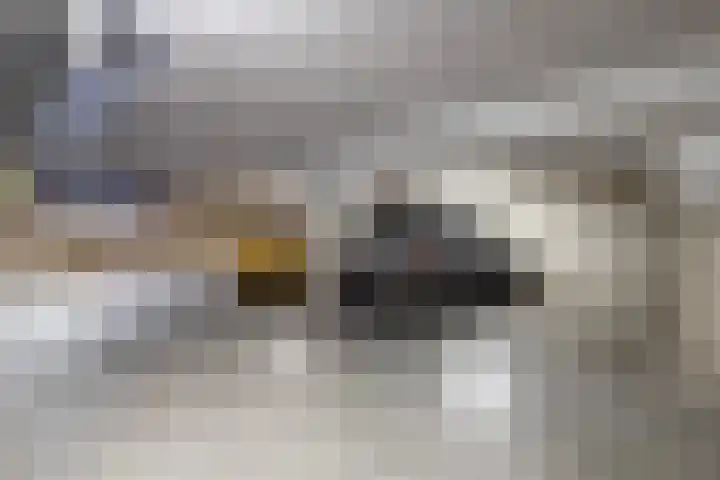 Chamavenlaan 262 Apeldoorn thumbnail 26