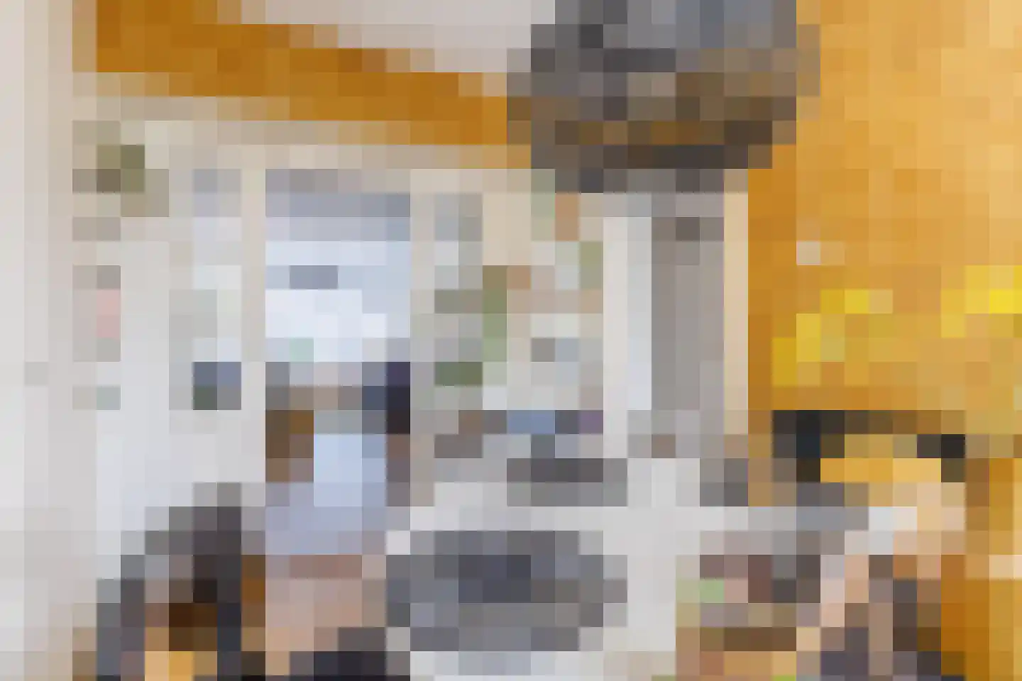 Chamavenlaan 54 Apeldoorn thumbnail 12
