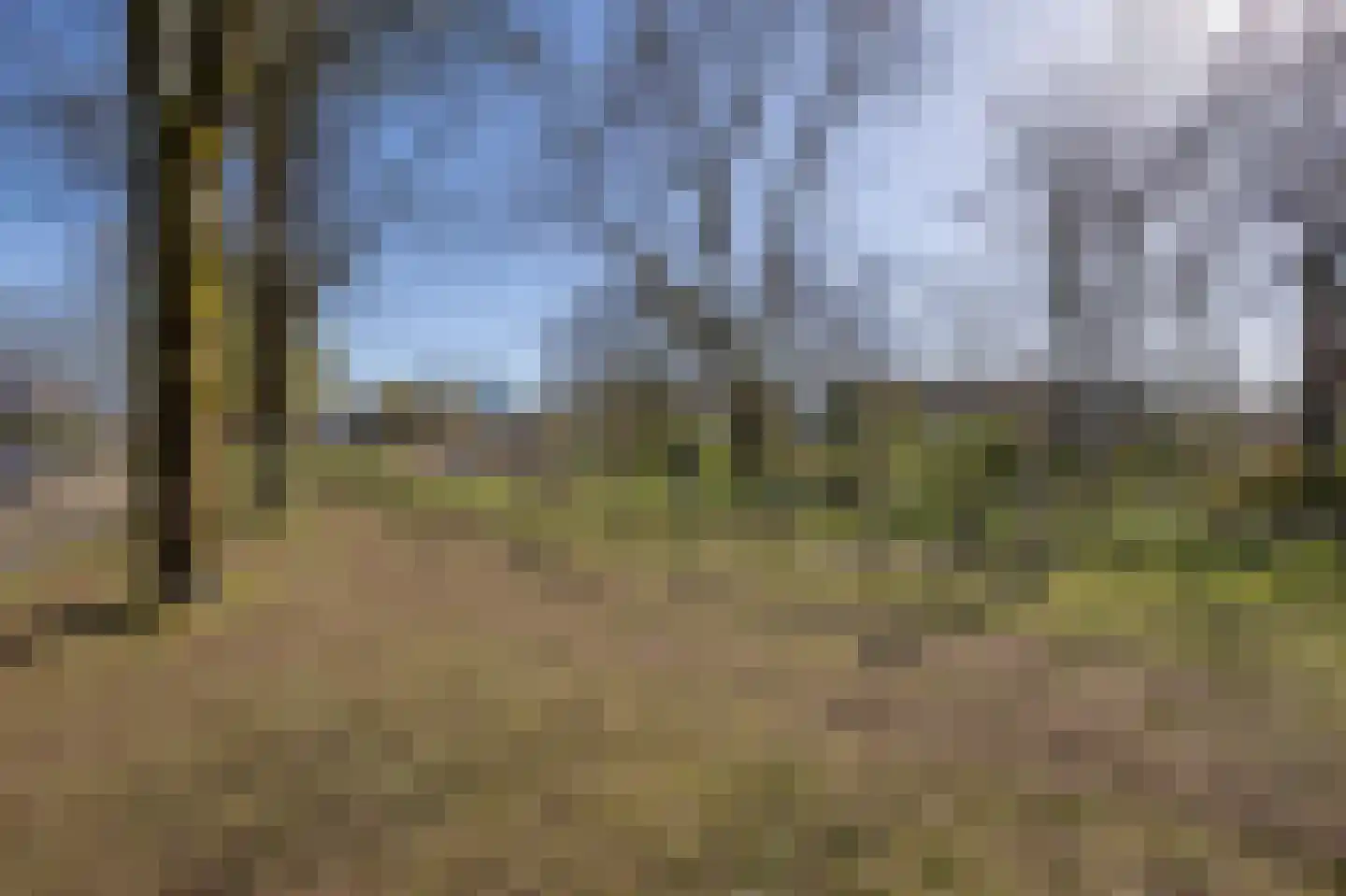 Chamavenlaan 54 Apeldoorn thumbnail 23